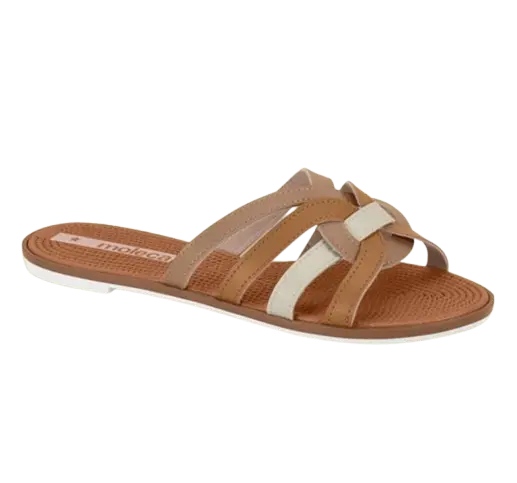 Moleca Rastrera 5297.477