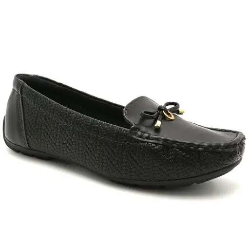 [7035.646] Modare Chatita 7035.646