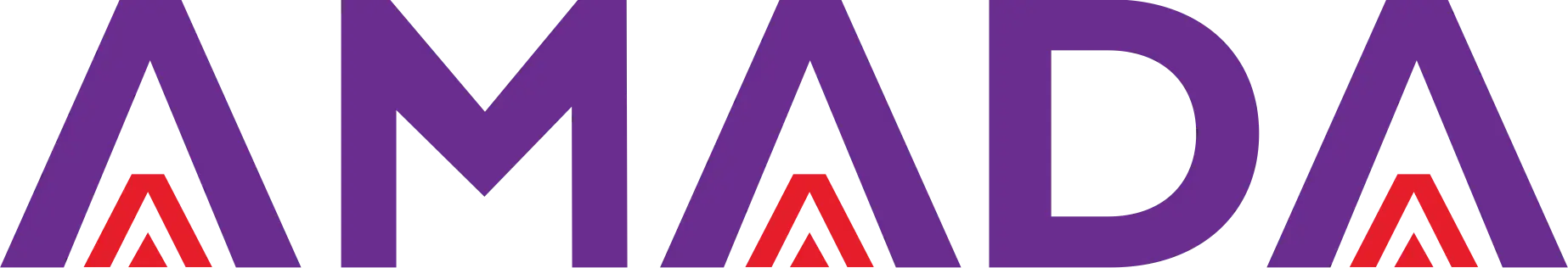 AMADA GROUP SOCIEDAD ANONIMA