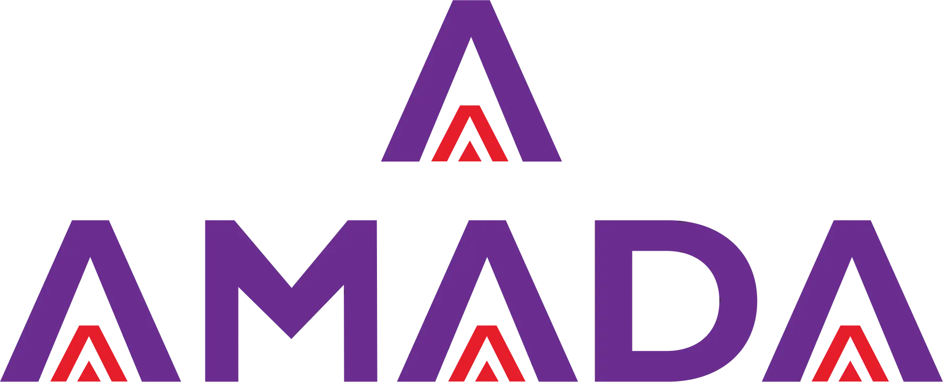 AMADA GROUP SOCIEDAD ANONIMA